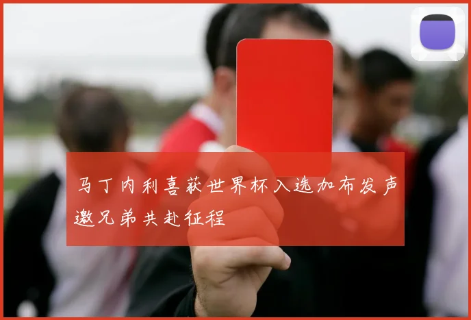 马丁内利喜获世界杯入选加布发声邀兄弟共赴征程