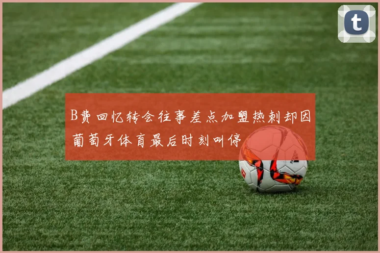 B费回忆转会往事差点加盟热刺却因葡萄牙体育最后时刻叫停