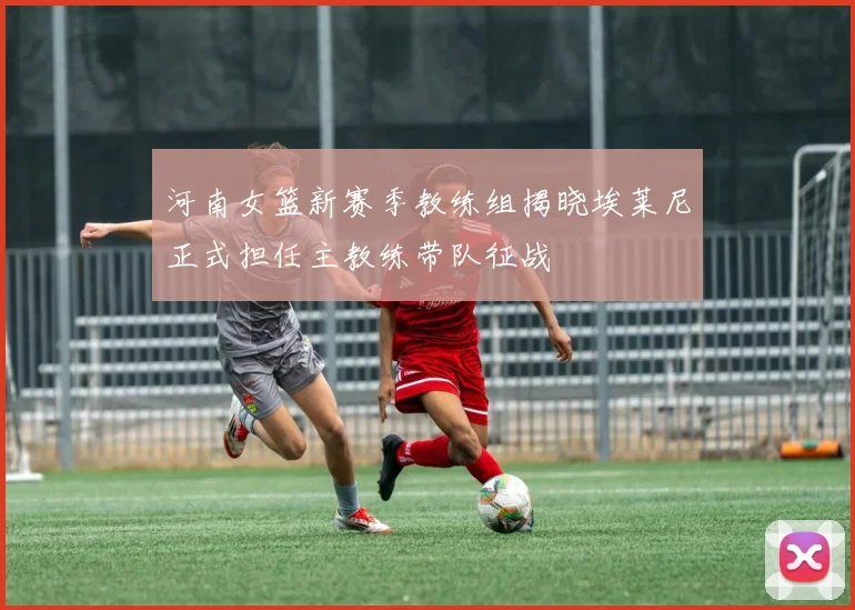 河南女篮新赛季教练组揭晓埃莱尼正式担任主教练带队征战